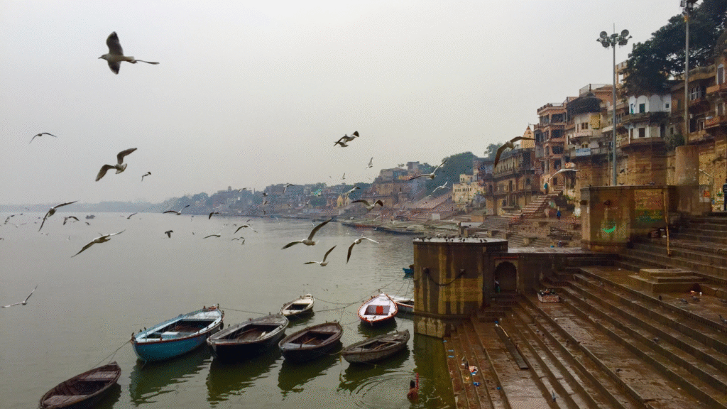 Bhadohi to Varanasi Distance