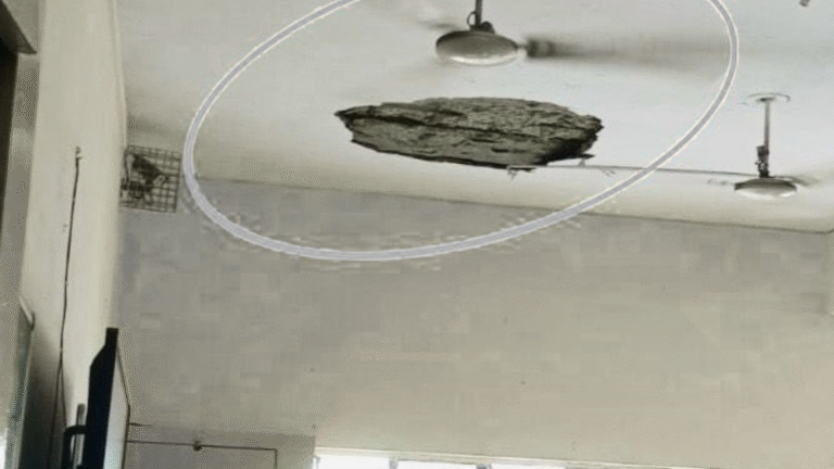 Classroom Ceiling Collapse at PM Shri Kendriya Vidyalaya in Noida