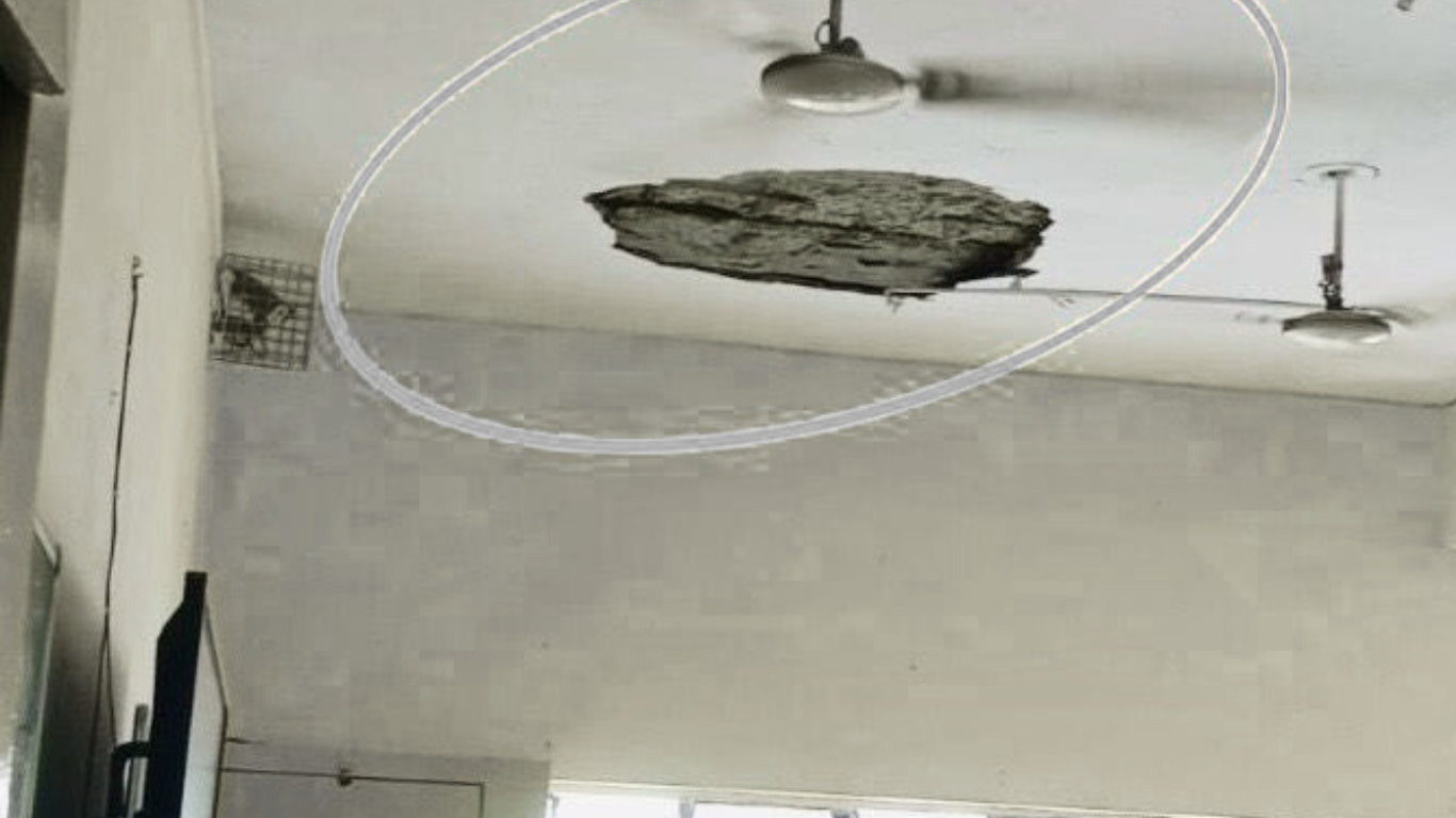 Classroom Ceiling Collapse at PM Shri Kendriya Vidyalaya in Noida