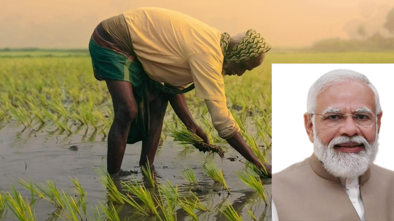 PM Kisan 20th Installment Date Announced two thousand rupees to Be Credited on August 2