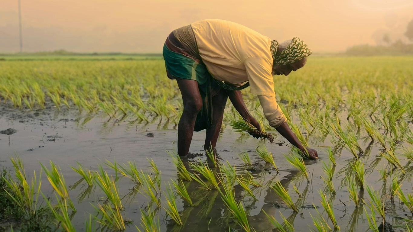 UP Fasal Bima Yojana 2025