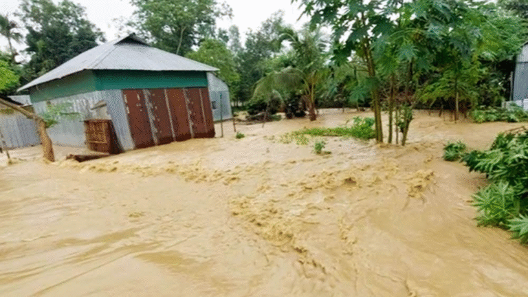 Flood-Like Situation Grips Kanpur Villages as Ganga River Swells