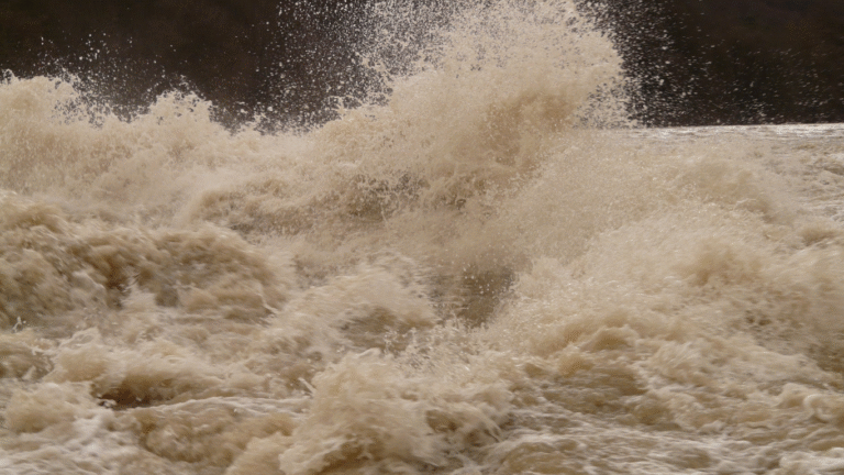 Uttar Pradesh issues flood alerts as Ganga, Yamuna, and other rivers approach danger levels